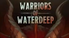 warriors-of-waterdeep